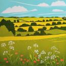 Fields of Northamptonshire 2
